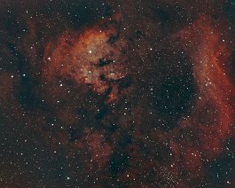 Sharpless 171 in HOO Acquired between October 10 - November 28, 2020. Equipment includes an Astro-Tech AT72EDII and ZWO ASI1600MM Pro CMOS camera on an Losmandy G-11 mount converted...