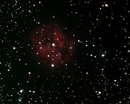 Cocoon Nebula (IC 5146) A 45-minute total exposure of IC 5146 taken on August 11 & 13, 2001.