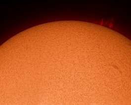 Solar Prominences Acquired with a Coronado MaxScope 60 and Lumenera SKYnyx2-1. A mosaic of two disk exposures and two prominence exposures, 7.5 fps. The best 500 out of 1000...