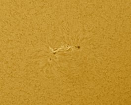 Sunspot Group 1024 Image taken on July 5, 2009 with a Coronado MaxScope 70 & Lumenera.