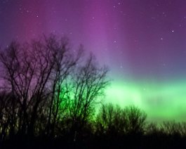 Northern Lights A 30-second exposure at ISO 800 with a Canon 300D on a stationary tripod. Taken at the Kalamazoo Nature Center on December 14, 2006.