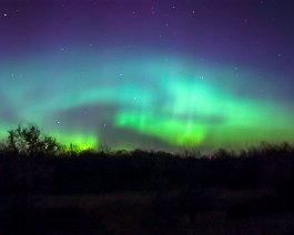 Green Aurora A 30-second exposure at ISO 800 with a Canon 300D on a stationary tripod. Taken at the Kalamazoo Nature Center on December 14, 2006. The bowl of the Big Dipper...