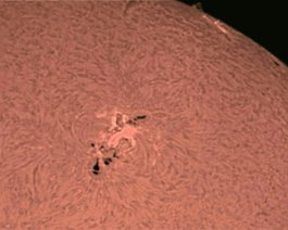 Hydrogen Alpha Sun This image of the Sun was obtained on November 5, 2011. it was acquired with a Coronado SolarMax 60 and Philips SPC900NC webcam. It's a stack of 300 frames...
