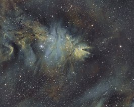 Cone Nebula (NGC 2264) Large emission nebula located 2,600 light-years away in the constellation Monoceros. Taken from Dave's backyard observatory in Portage, Michigan. Equipment...