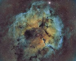 Elephant's Trunk Nebula Emission Nebula located about 2,400 light-years away in the constellation Cepheus. Taken from Walkerville Michigan in the Huron-Manistee National Forest....