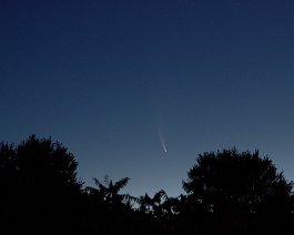 Comet NEOWISE Acquired from Lloyd's Bortle 5 driveway in Mattawan, MI on July 13, 2020. It is a 2-second exposure taken with a Canon T3i (set at ISO 800) and 50mm f/1.8 lens...