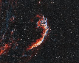 Eastern Veil Nebula Segment of a supernova remnant about 2,600 light-years away in the constellation Cygnus. Acquired from my Bortle 5 driveway in Mattawan, MI on September 21 and...