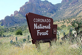 [Coronado National Forest]